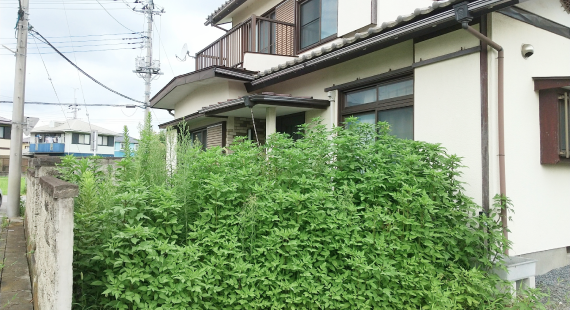 空き家の維持管理と将来の活用に悩んでいる